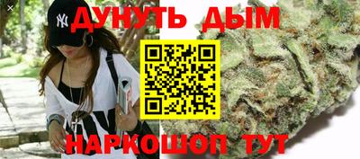 прущие грибы Гусиноозёрск