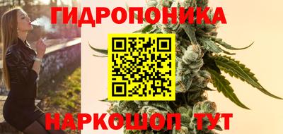 прущие грибы Гусиноозёрск