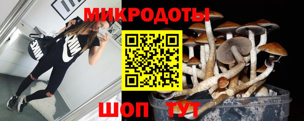 Будённовск  Галлюциногенные грибы MAGIC MUSHROOMS  Вход с VPN 