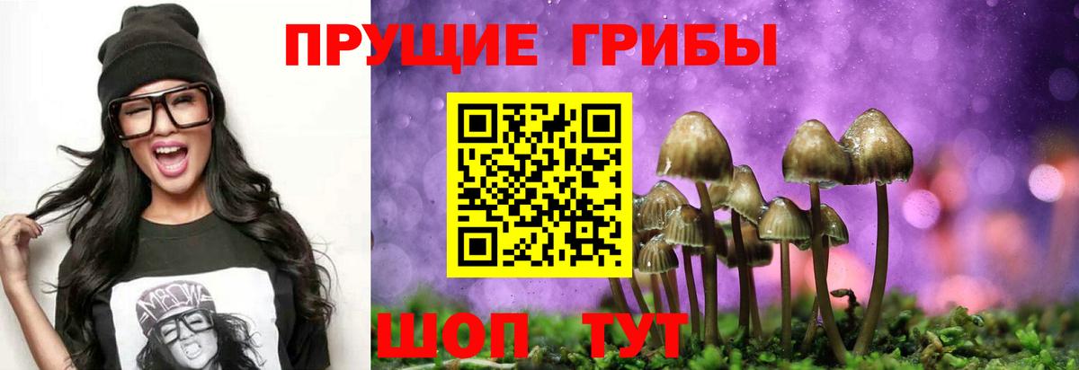 Галлюциногенные грибы ЛСД Будённовск